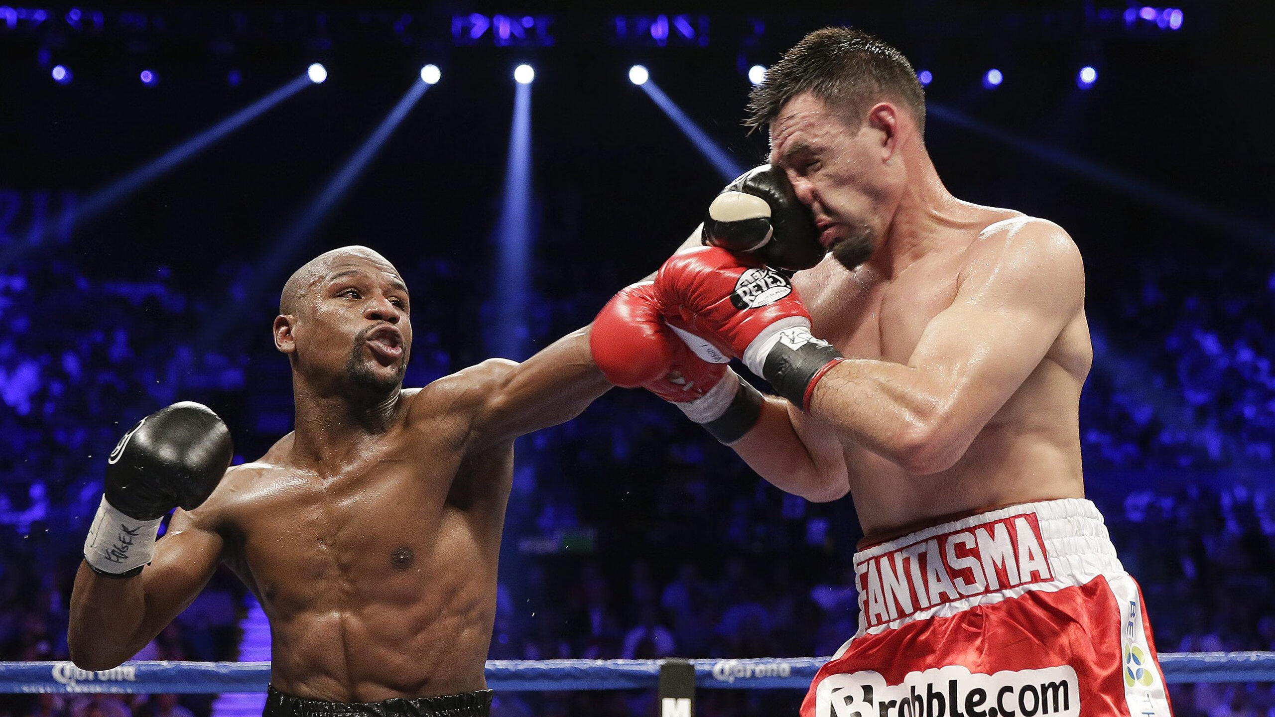 赛事合作伙伴招募说明会吸引多家本土企业参与，赛事平台运营合伙人协议